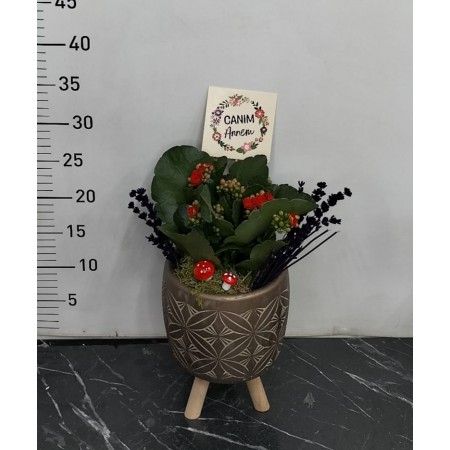 Ayaklı saksı da kalanchoe çiçeği